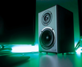 Computer speaker signifying digital voice transmission